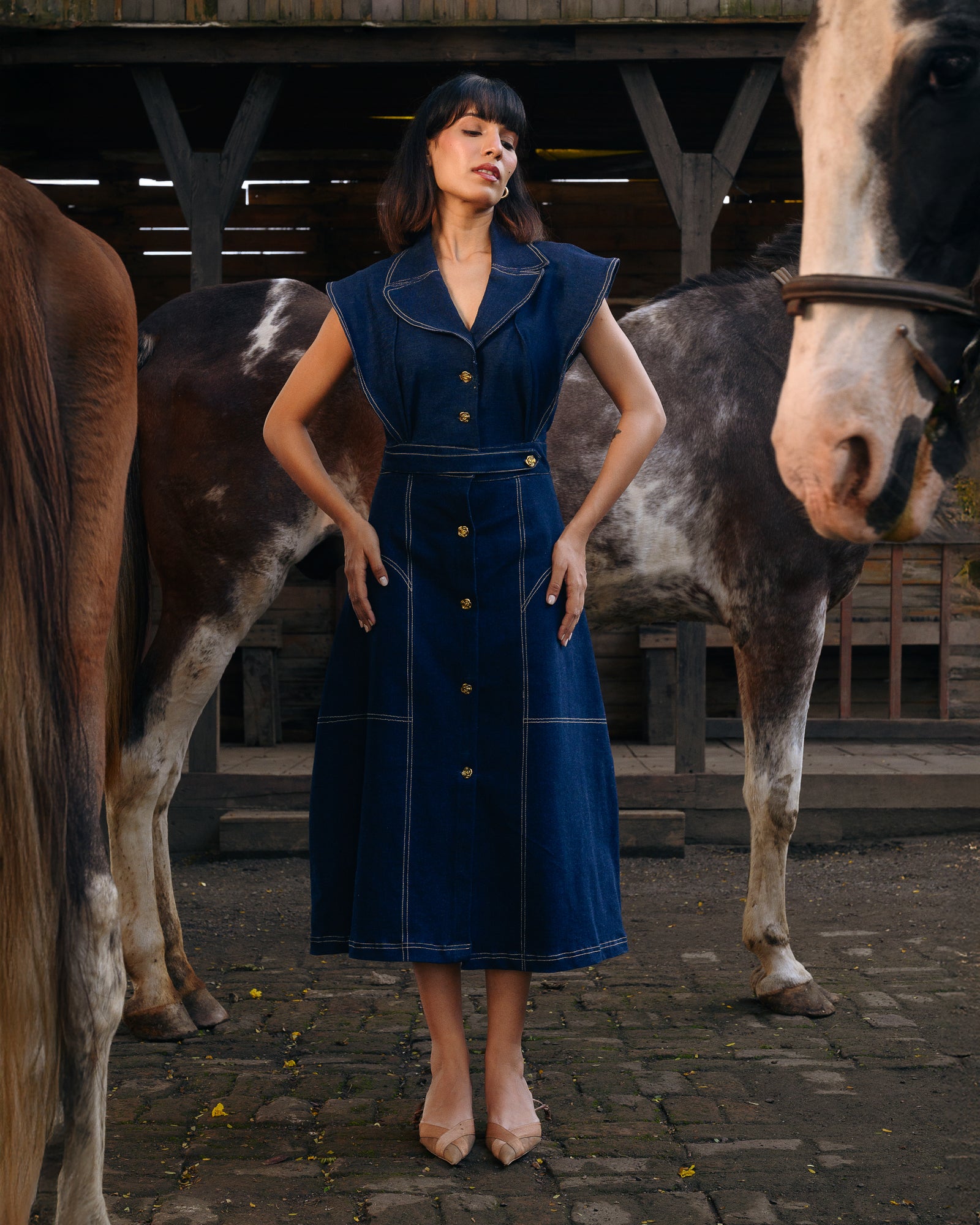 Charlotte Denim Dress