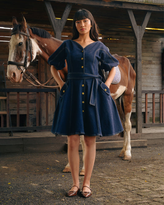 Zara Dress